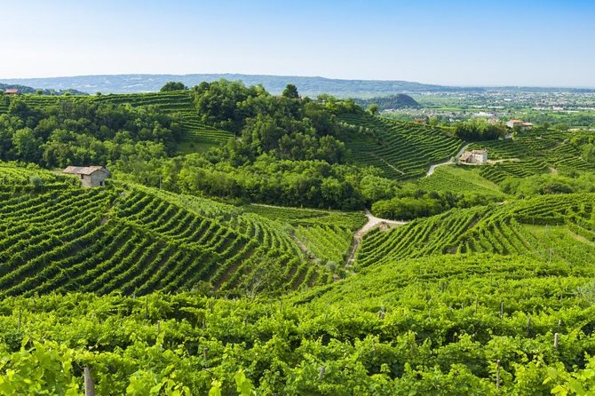 2 Guests Private Prosecco Road Tour All Inclusive from Conegliano - A private route through Prosecco country