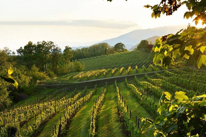 2 Guests Private Prosecco Road Tour All Inclusive from Conegliano - What the tastings and food add