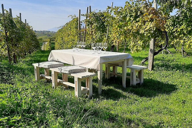 2 Guests Private Prosecco Road Tour All Inclusive from Conegliano - The value of a private half-day