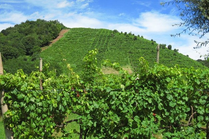 2 Guests Private Prosecco Road Tour All Inclusive from Conegliano - Who should book this tour