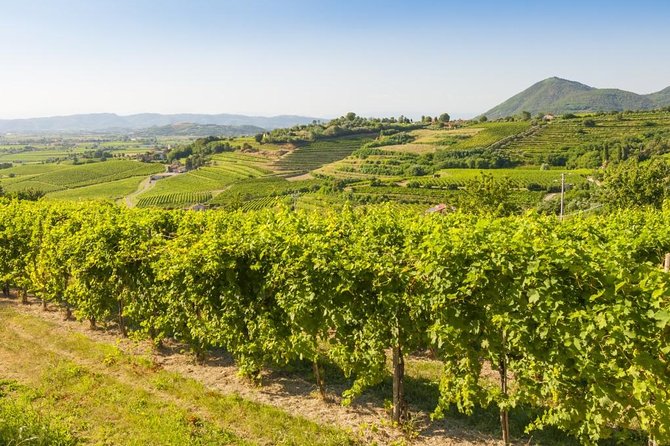 2 Guests Private Prosecco Road Tour All Inclusive from Conegliano - FAQ