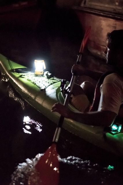 2hr Night Kayak Tour in Venice: premium tour with sunset - Key points before you book