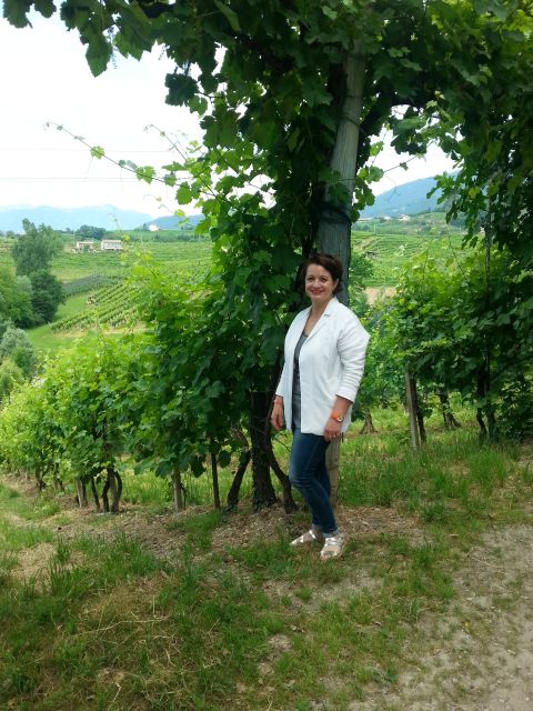 8-Hour Prosecco Wine and Tastings Tour from Venice or Padua - Leaving Venice or Padua for the Prosecco hills