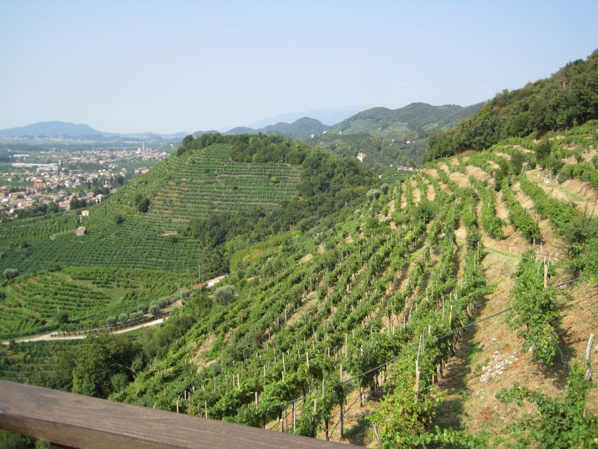 8-Hour Prosecco Wine and Tastings Tour from Venice or Padua - Tasting Prosecco with a sommelier