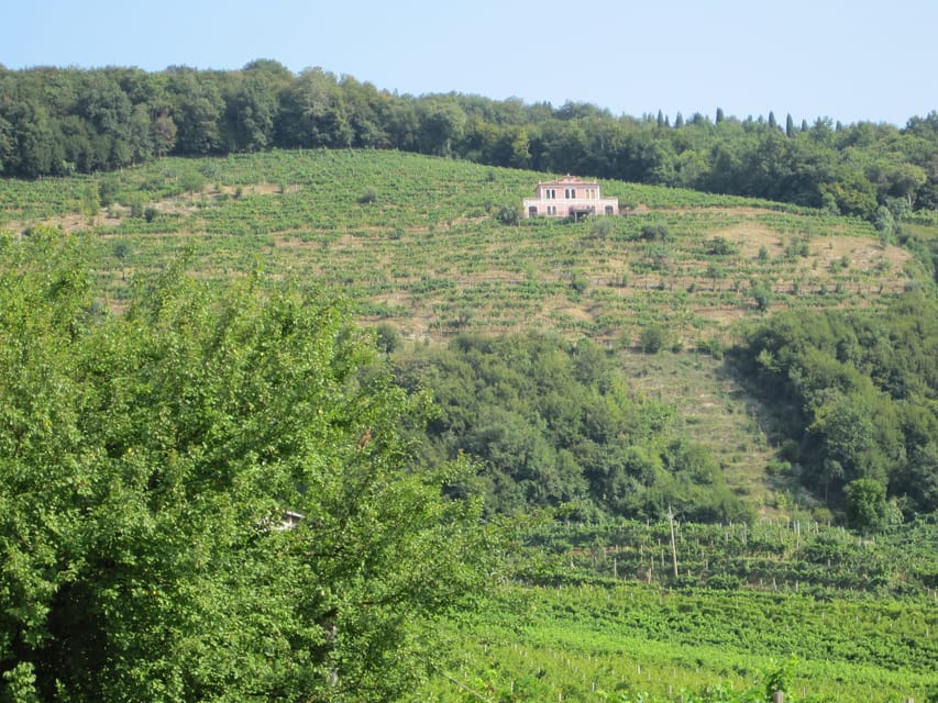 8-Hour Prosecco Wine and Tastings Tour from Venice or Padua - Is $513.80 a fair price?