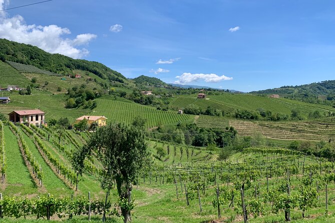 A Sparkling Day in the Prosecco Hills from Venice - The Second Winery Near Conegliano
