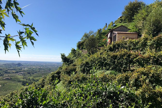 A Sparkling Day in the Prosecco Hills from Venice - Who Will Enjoy This Day Most