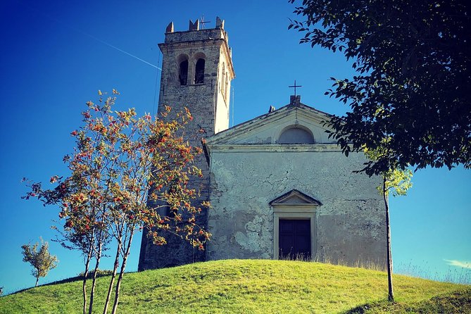 A Sparkling Day in the Prosecco Hills from Venice - Should You Book It?