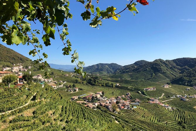 A Sparkling Day in the Prosecco Hills from Venice - Lunch at the Family Osteria