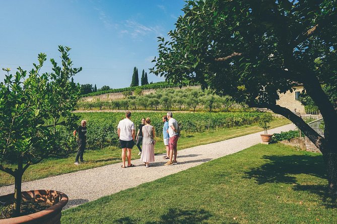 Amarone Wine-tasting Tour from Verona with Private Transportation - Is $151.23 a fair price?