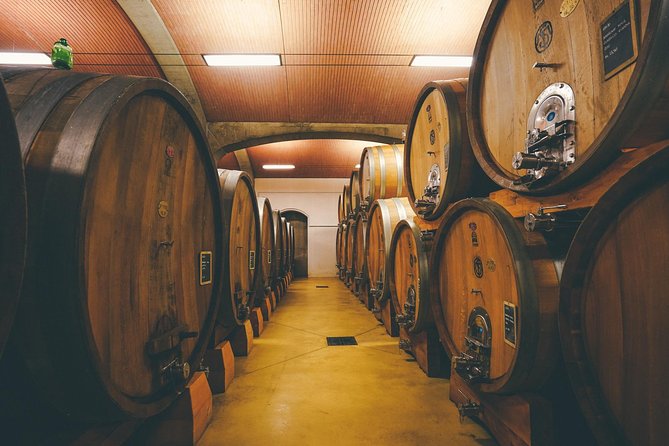 Amarone Wine-tasting Tour from Verona with Private Transportation - Who will enjoy this Valpolicella outing?