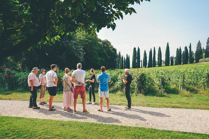 Amarone Wine-tasting Tour from Verona with Private Transportation - Should you book it?