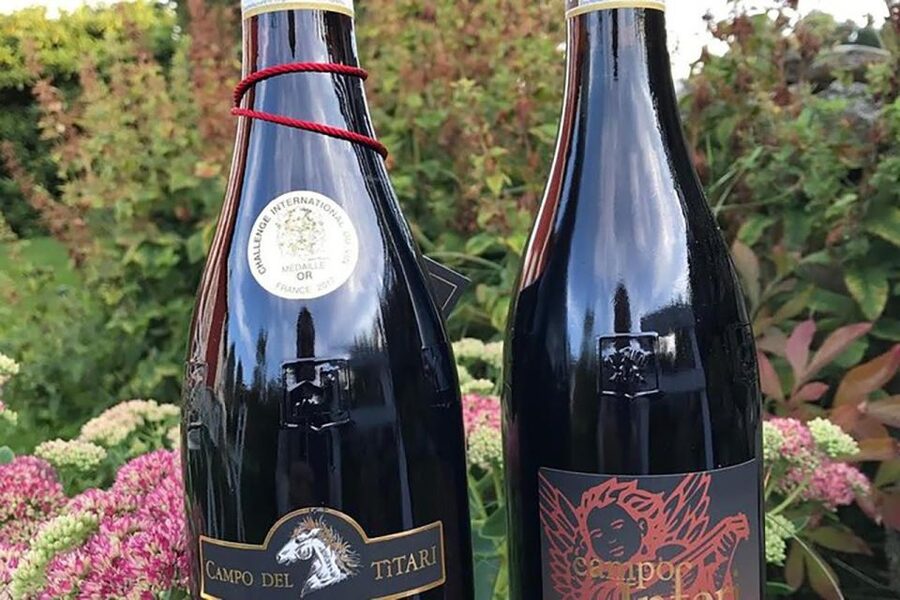 Amarone Wine Tasting Tour. Visit Verona. From Venice - Cheese, salami, and a practical lunch