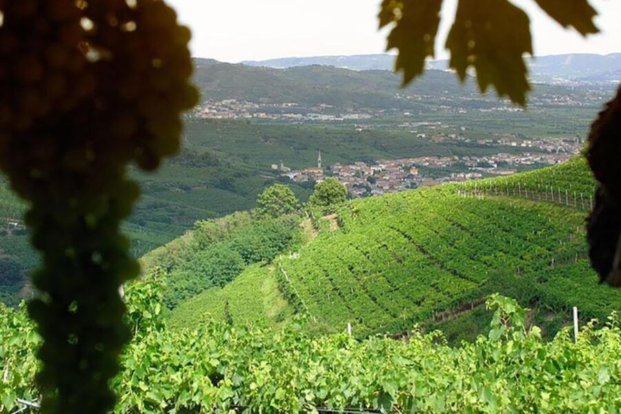 Amarone Wine Tasting Tour. Visit Verona. From Venice - FAQ