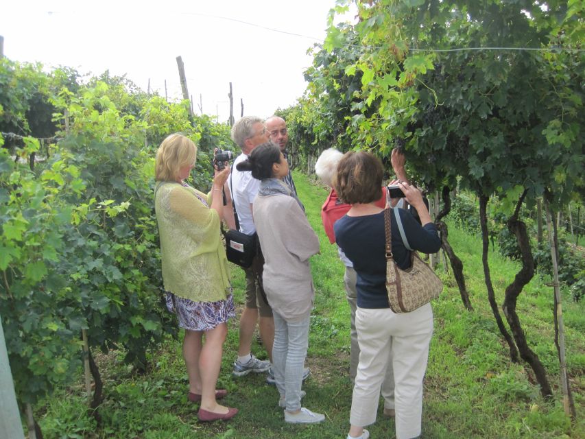 Amarone Wine Tour & Tasting from Venice, Padua or Verona - Amarone’s method, and why the second winery matters