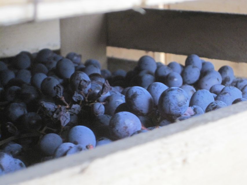 Amarone Wine Tour & Tasting from Venice, Padua or Verona - FAQ