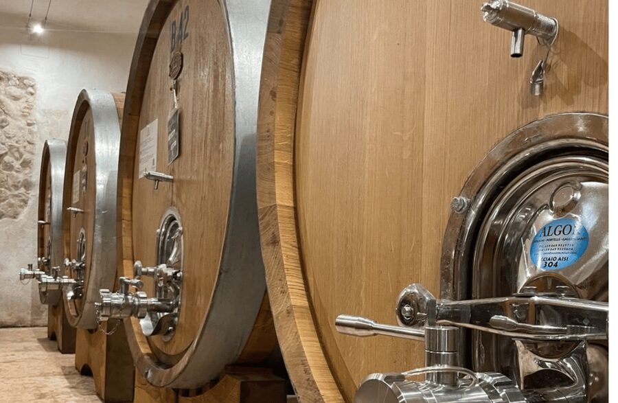 Boutique Winery Tour & Tasting in Valpolicella - Should you book Cantina Montecariano?