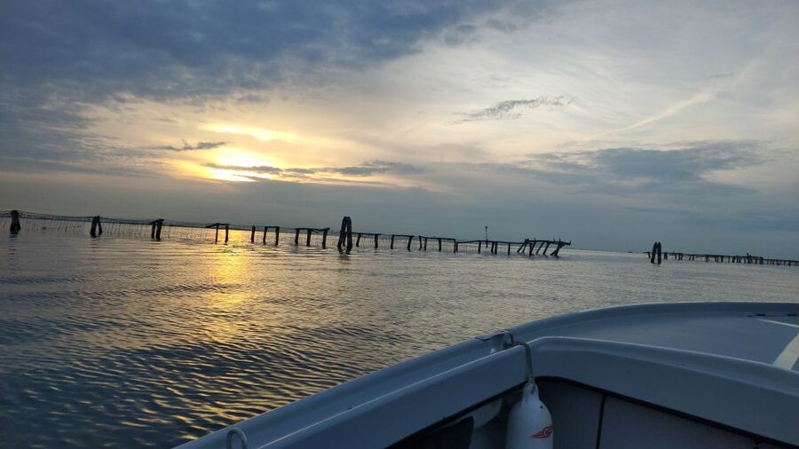 Chioggia: discover aquaculture techniques in a typical boat - From Chioggia’s dock to the lagoon farms