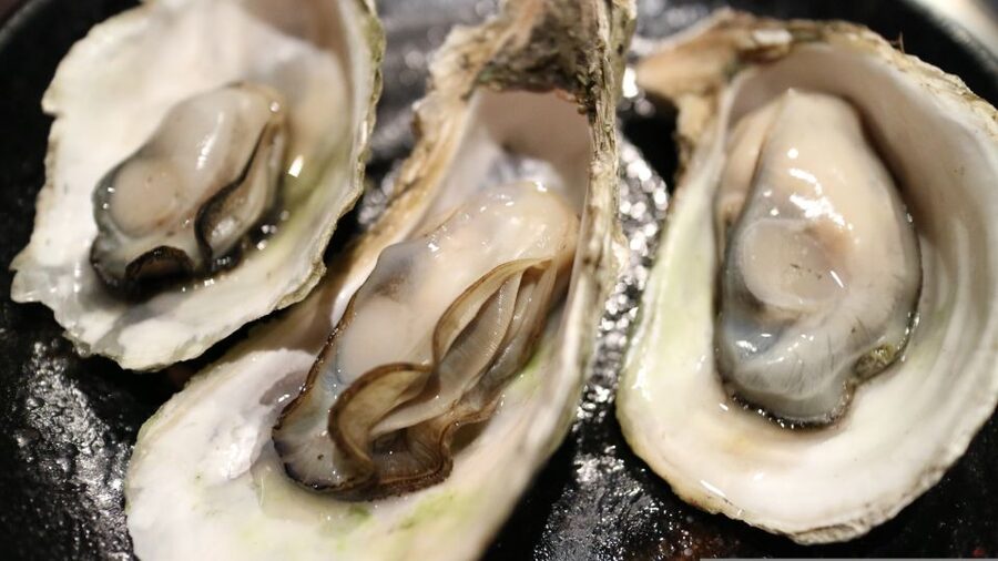 Chioggia: discover aquaculture techniques in a typical boat - Oyster farming and a living maritime tradition