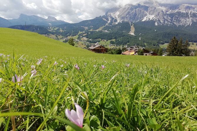 Discover the Dolomites, Cortina and Lake Braies from Venice - Who should book this day trip?