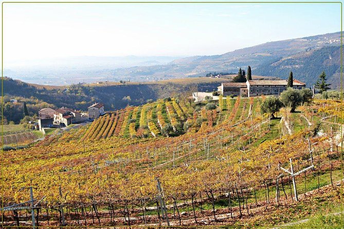 Discover Valpolicella Vineyards and Wine Tasting Experience - Tasting Amarone with local food
