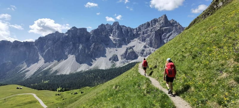 Dolomites of Bolzano: Hiking Experience with a local Guide - Who should book this hike?