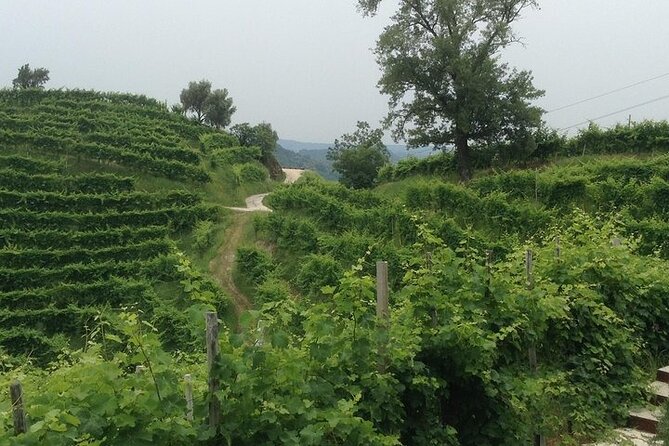 Exclusive Prosecco Wine Tour from Venice - Small Group - Who will enjoy this day most