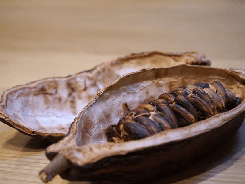 Fine Chocolate Tasting in Turin - What the one-hour visit feels like