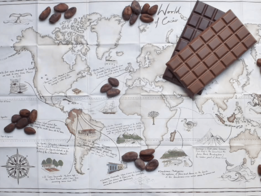 Fine Chocolate Tasting in Turin - Who will enjoy this most