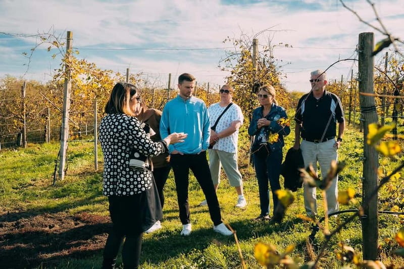 From Venice: Prosecco Hills and Wine Tasting Tour - First winery: vineyards, tasting, and local food