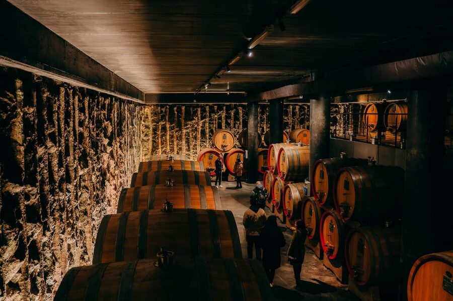 From Verona: Valpolicella and Amarone Wine Tasting Tour - At the first cellar: how Amarone is made