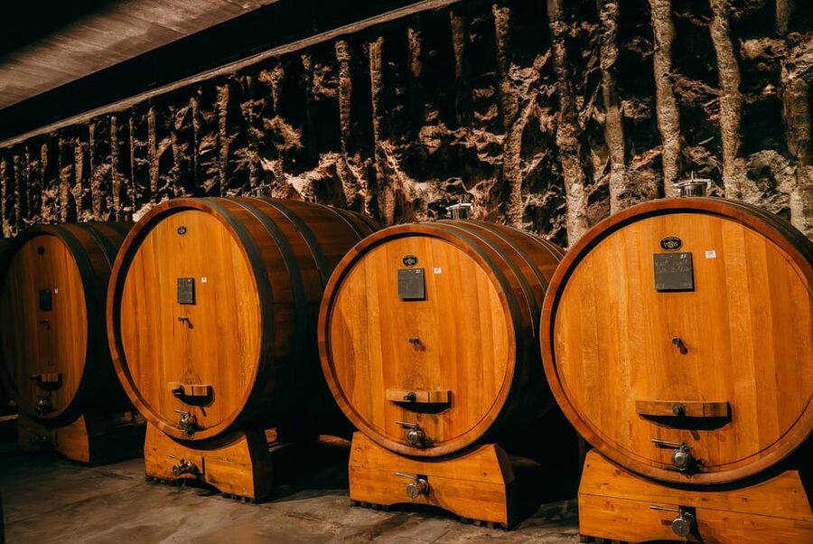 From Verona: Valpolicella and Amarone Wine Tasting Tour - What the tasting teaches you