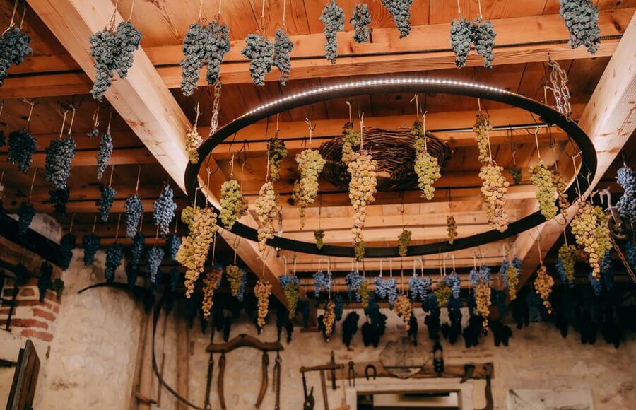From Verona: Valpolicella and Amarone Wine Tasting Tour - Who will enjoy this tour most