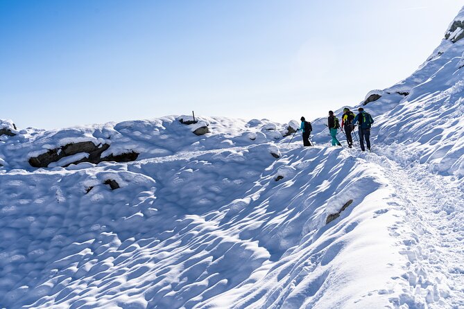 Guided Snowshoeing Day to Discover the Dolomites - At a glance