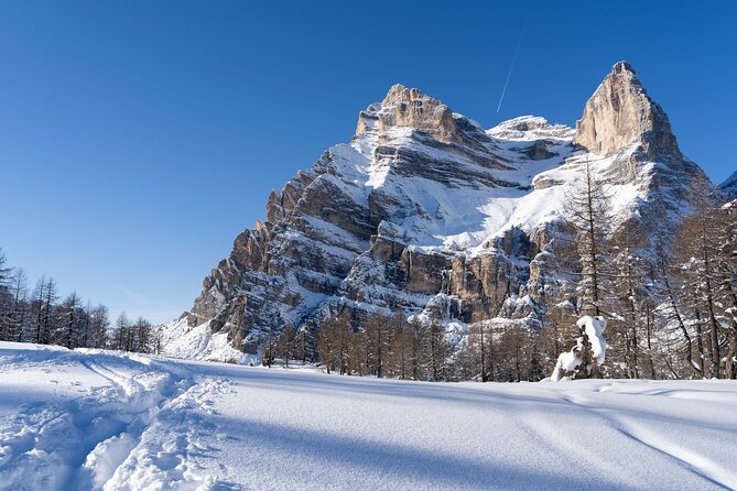 Guided Snowshoeing Day to Discover the Dolomites - Who should book this snowshoe day
