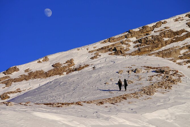 Guided Snowshoeing Day to Discover the Dolomites - A flexible day, not a fixed checklist