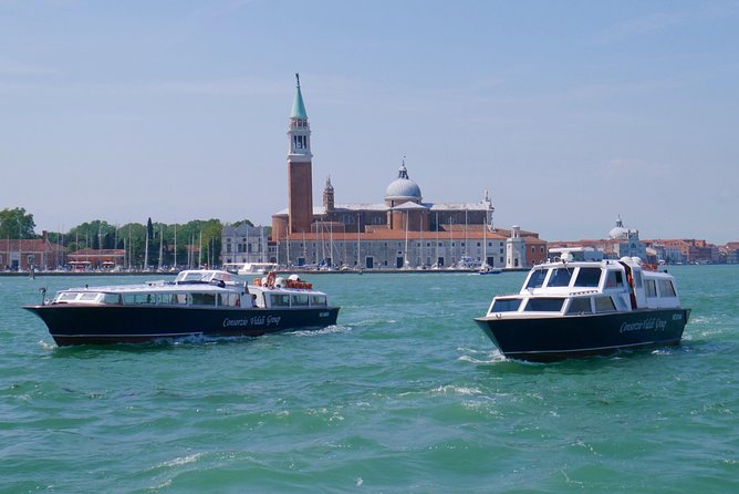 Morning Venice Lagoon Cruise: Murano and Burano Islands - Who should book this island cruise?