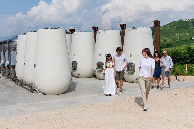 Prosecco tasting, appetizers and tour of the cellar and vineyards - The cellar and organic vineyard put the glass in context