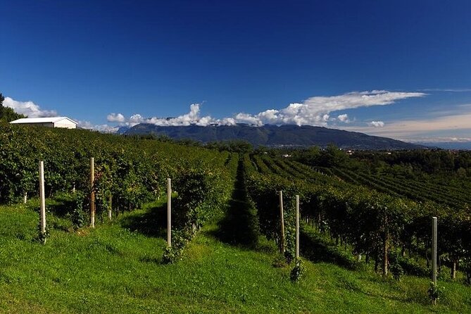 Prosecco Wine Tour with Sommelier – Pick-up from Treviso - Is $190 a fair price?