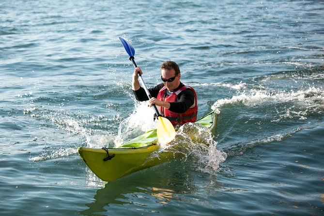 Real Venetian Kayak - Tour of Venice Canals with a Local Guide - Should you book the Venice kayak tour?