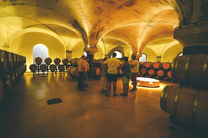 Small-group Amarone Wine e-Bike Tour from Verona - Should you book the Valpolicella e-bike tour?