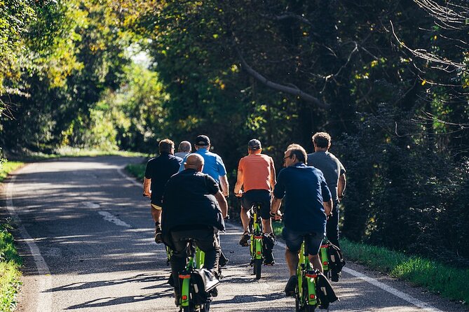 Small-group Amarone Wine e-Bike Tour from Verona - The winery visit: local reds, including Amarone