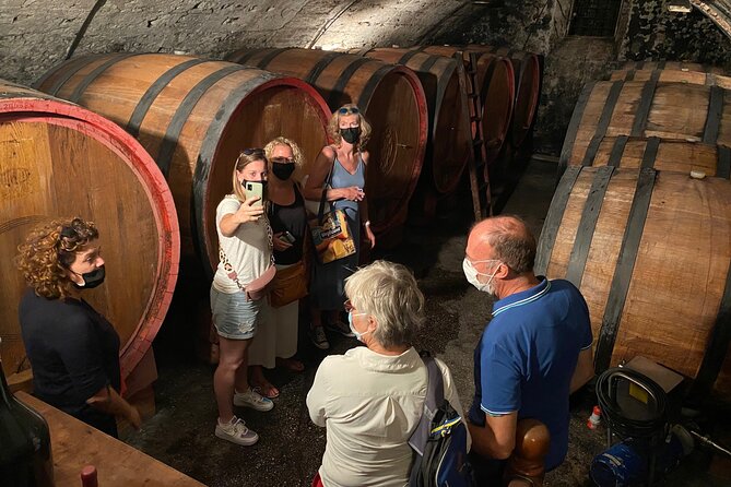 The Grand tour of Valpolicella: 2 Wineries, Lunch & Amarone focus - What to know before you book