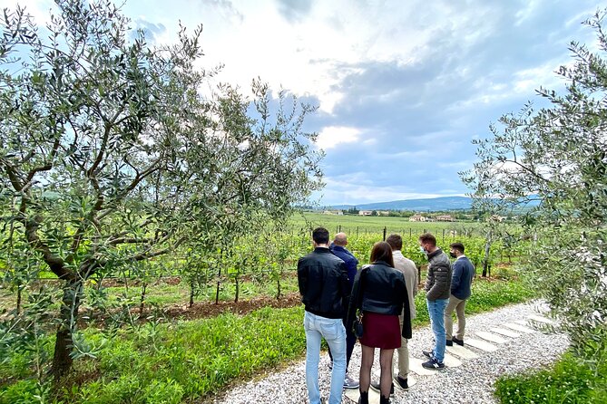 The Grand tour of Valpolicella: 2 Wineries, Lunch & Amarone focus - Should you book the Valpolicella tour?