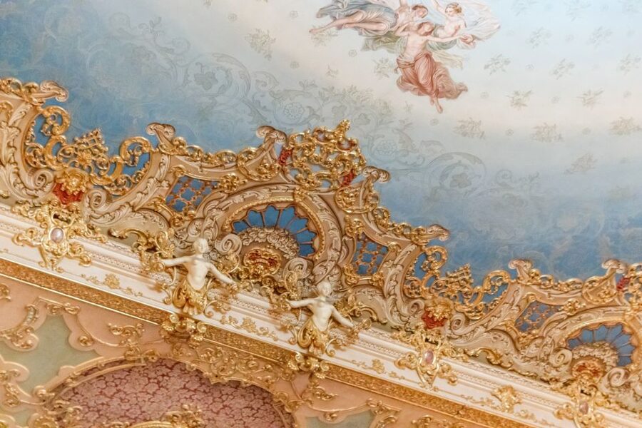 The Majestic Teatro La Fenice: Guided Tour in Venice - Who should book this tour?