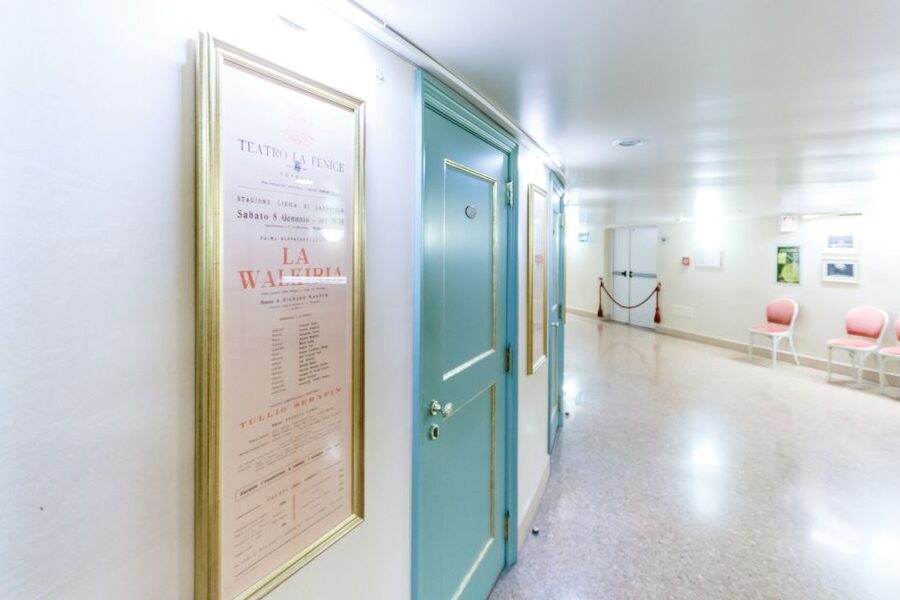 The Majestic Teatro La Fenice: Guided Tour in Venice - Should you book?
