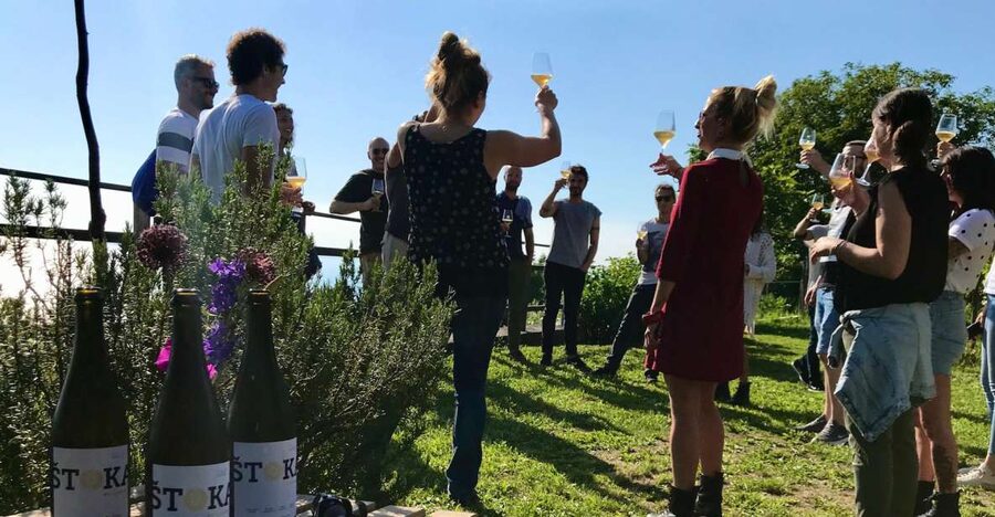 Trieste: 2.5-Hour Prosecco Origins Tour and Tastings - Terraced vines above the Gulf