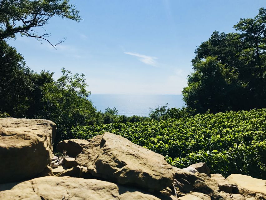 Trieste: 2.5-Hour Prosecco Origins Tour and Tastings - Local food makes this more than a tasting