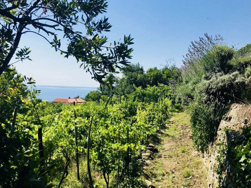 Trieste: 2.5-Hour Prosecco Origins Tour and Tastings - Getting to the pond takes a little planning
