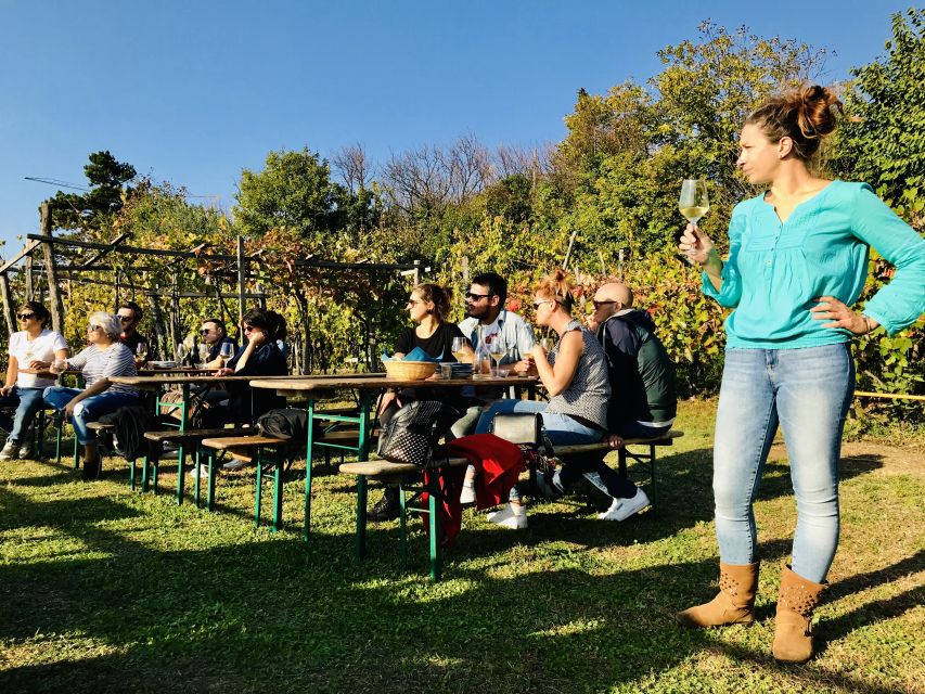 Trieste: 2.5-Hour Prosecco Origins Tour and Tastings - A small group, with a weather plan